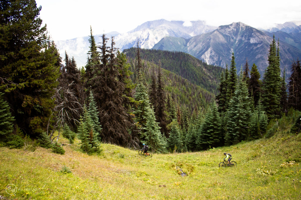 Dense Forrest Consumed Riders as Elevation was lost