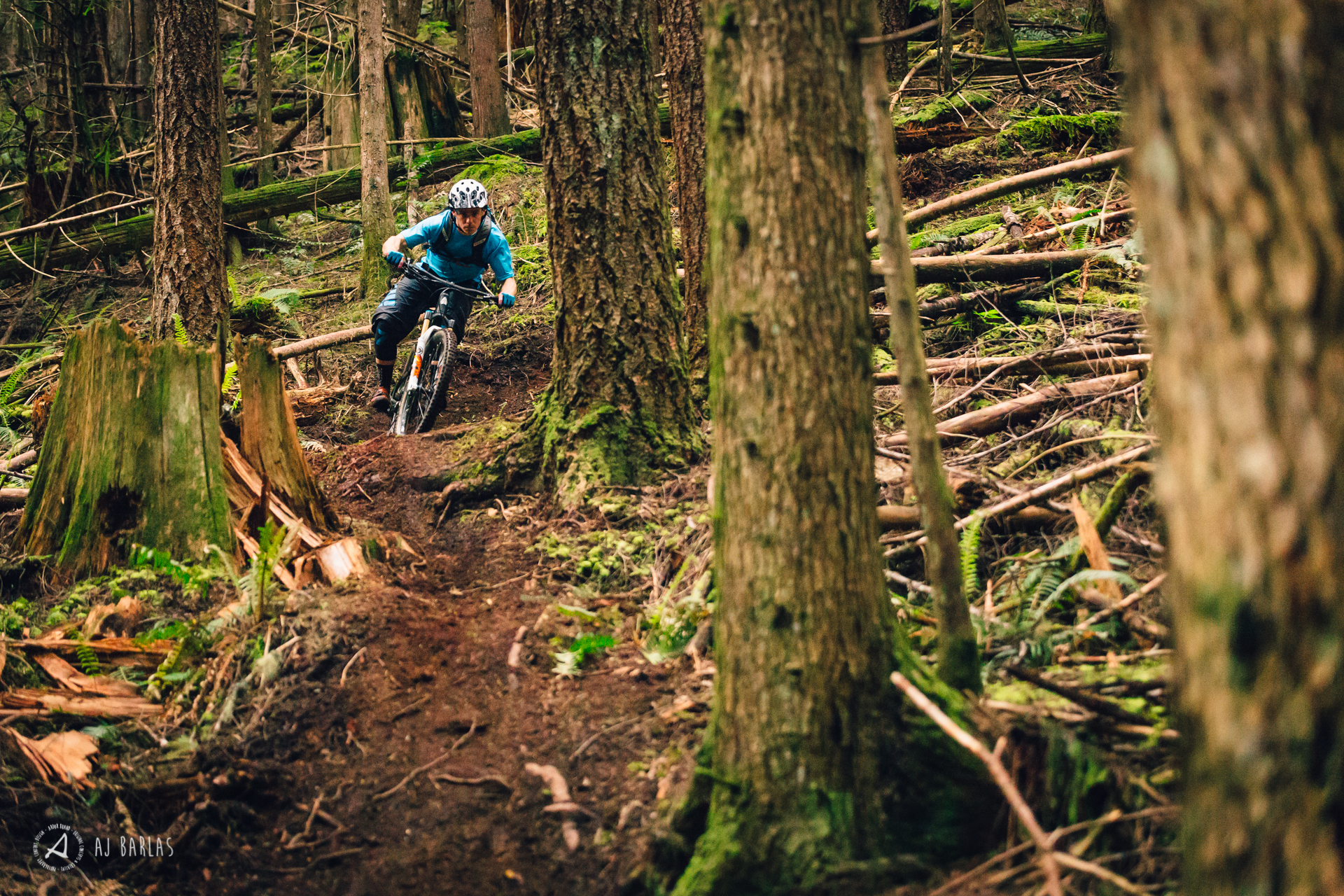 Davis railing some Squamish loam