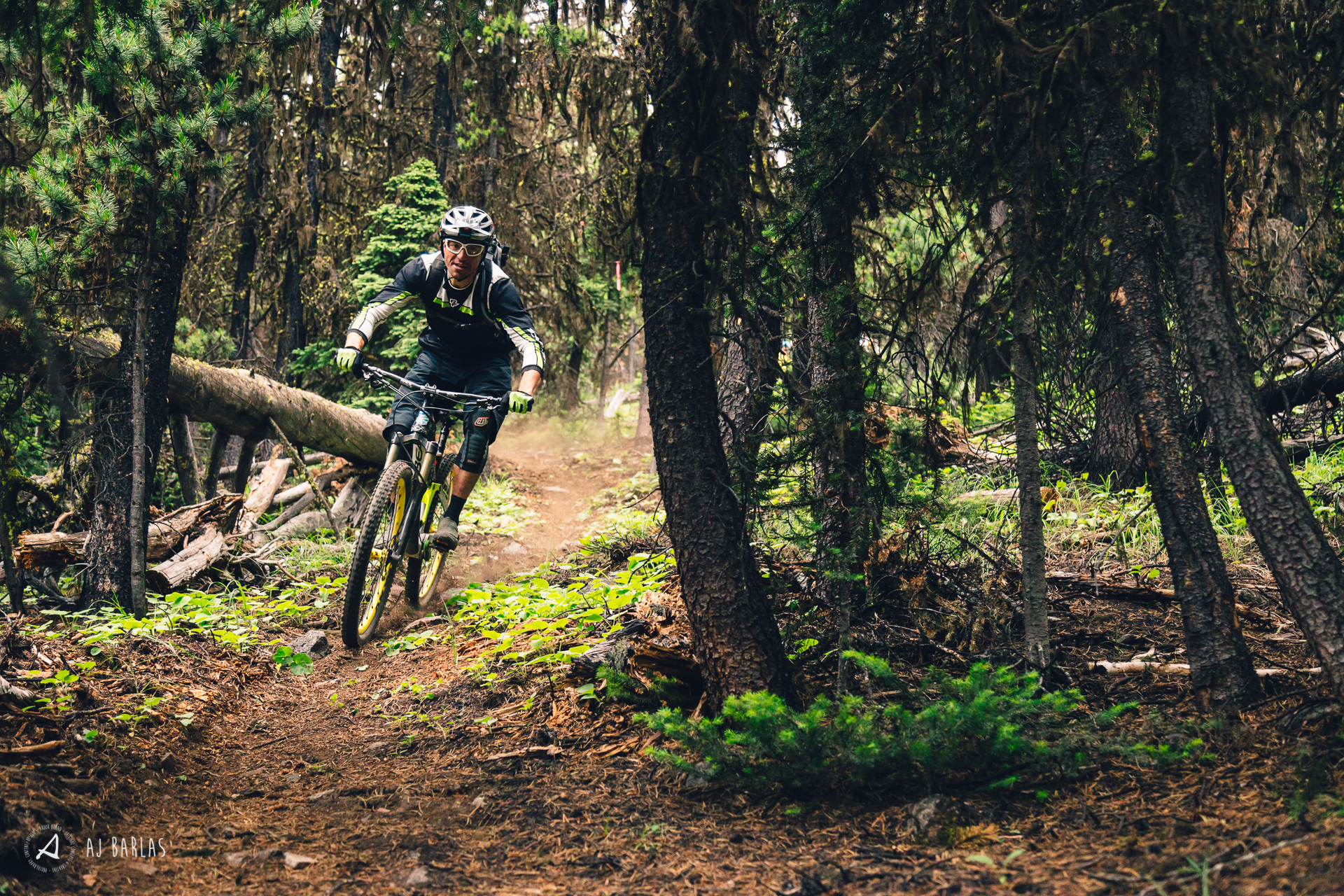 Cesar ripping the first sections of treeline. It was quite the contrast to the alpine terrain.