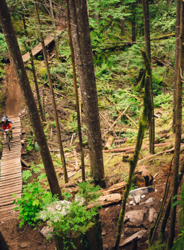 Rupert mountain bike trail, Squamish