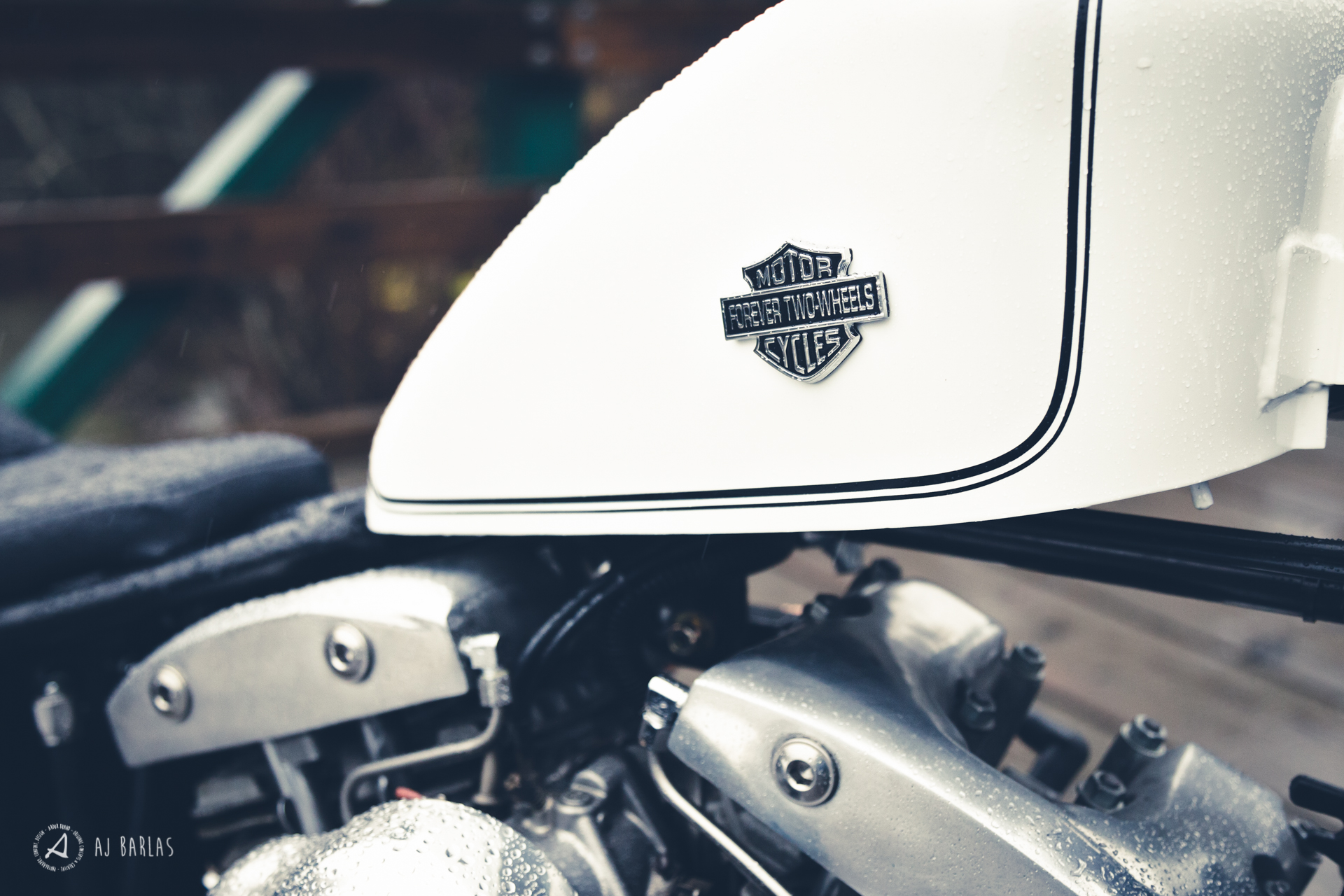 Todd Schumlick's custom 1975 Harley Davidson Shovelhead badge