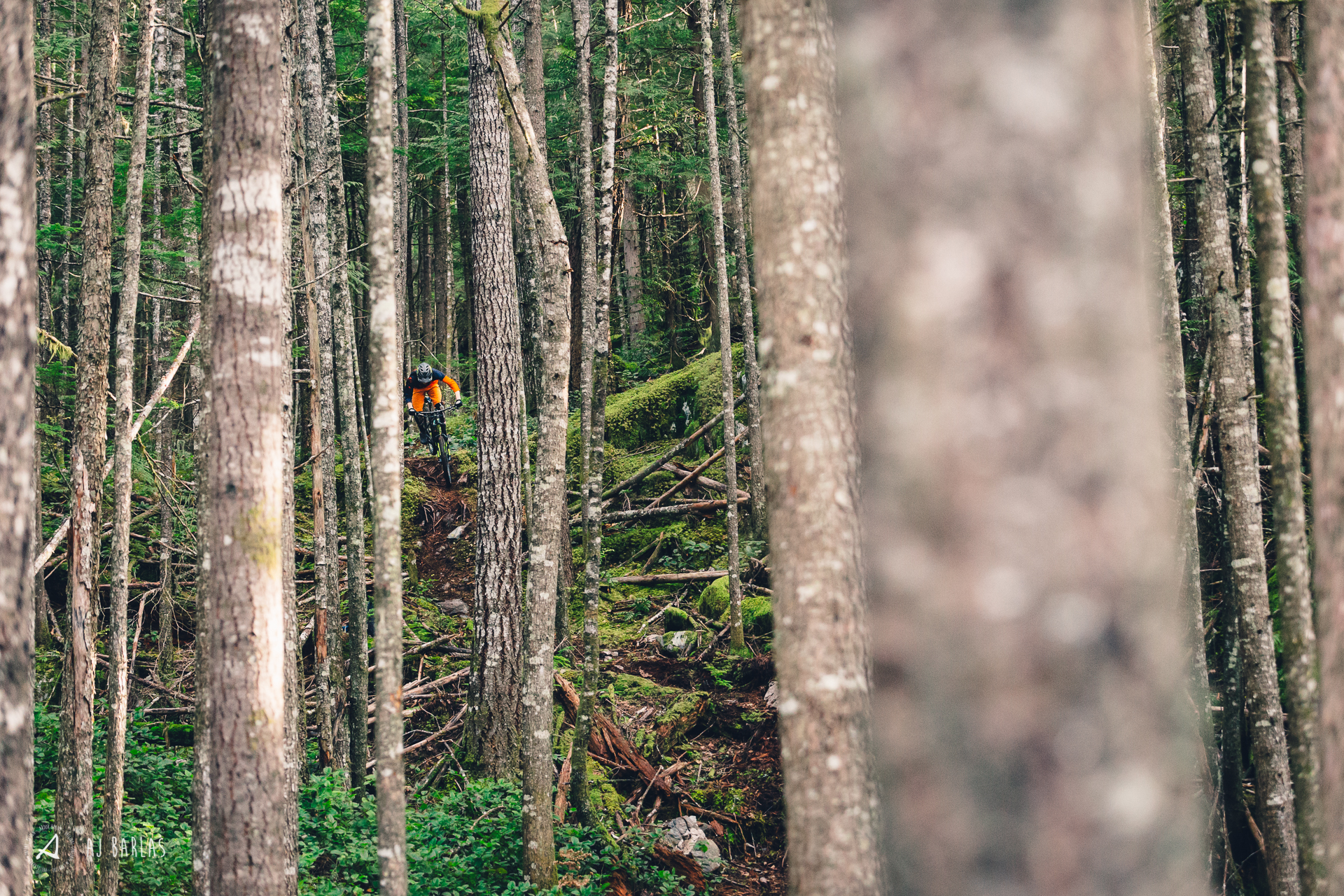Jessie Mcauley deep in the woods of Squamish